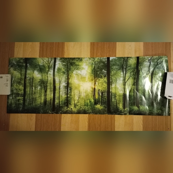 3 Huge Posters (55" x 39") + 1 reversible large + 1 reversible small - Picture 9 of 14